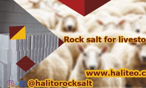 rock salt for livestock