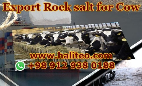 Buy rock salt livestock