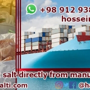 export rock salt