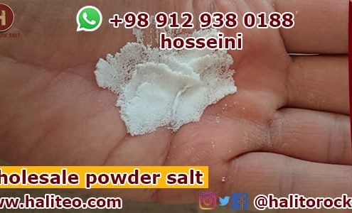 industrial salt factory