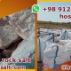 Red Salt Rock