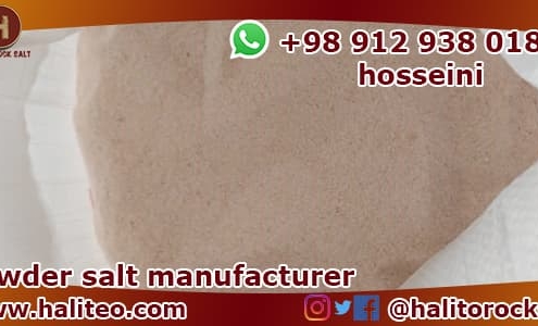 Manufacturer of powder salt