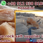 Export salt