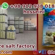 Iran salt factory