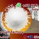 salt factory