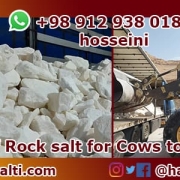 rock salt in bulk