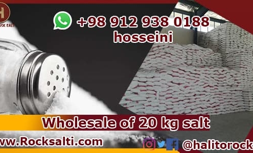 Refined iodized salt factory