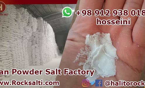 powder salt factory