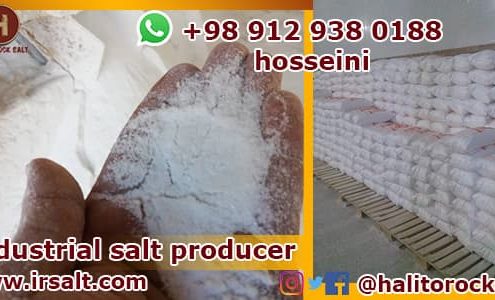 Iran salt factory