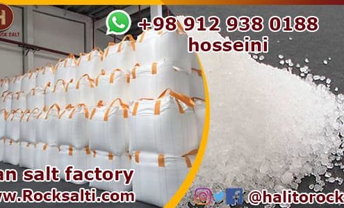 Iran salt factory