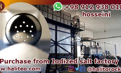 Iodized salt factory