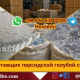 персидская голубая соль