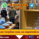 Персидская голубая соль